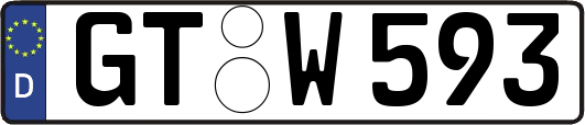 GT-W593