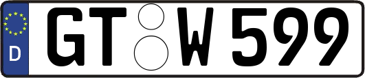 GT-W599