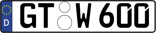 GT-W600