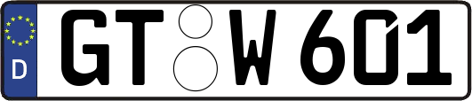 GT-W601