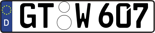 GT-W607