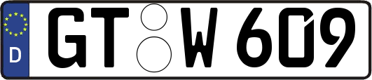 GT-W609