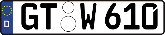 GT-W610