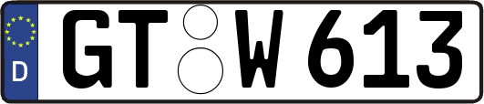 GT-W613