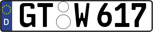 GT-W617