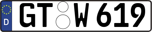 GT-W619