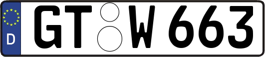 GT-W663