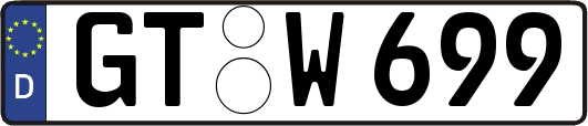 GT-W699