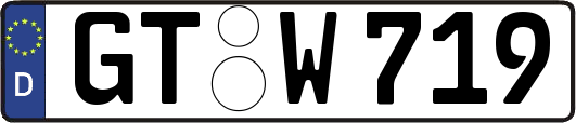 GT-W719