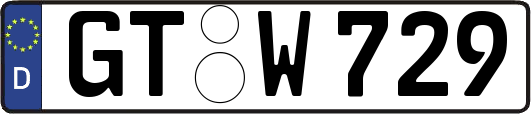 GT-W729