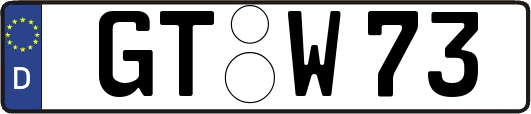 GT-W73