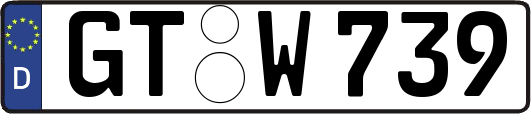 GT-W739
