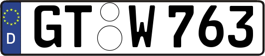 GT-W763