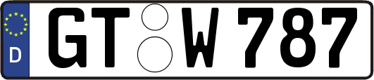 GT-W787