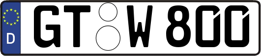GT-W800