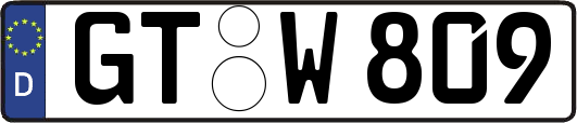 GT-W809