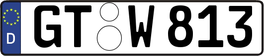 GT-W813