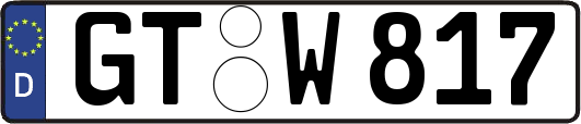 GT-W817