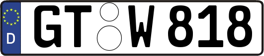 GT-W818