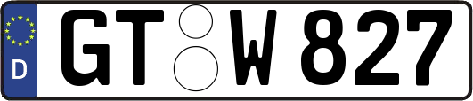 GT-W827