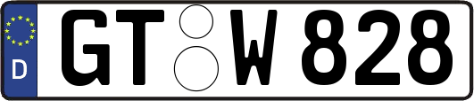 GT-W828