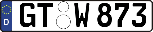 GT-W873