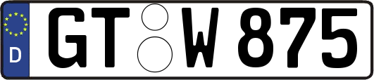 GT-W875