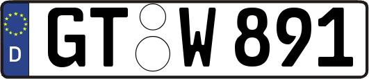 GT-W891