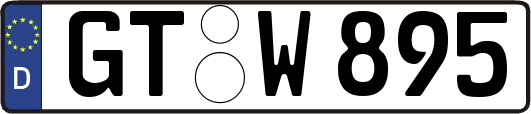 GT-W895