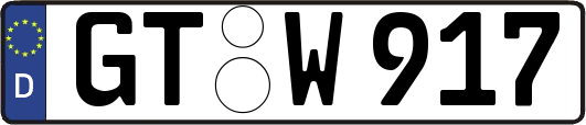 GT-W917