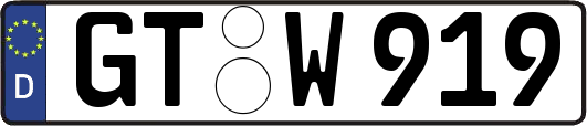 GT-W919