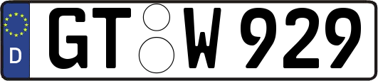 GT-W929