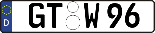 GT-W96