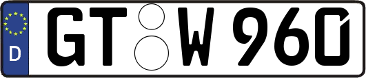 GT-W960
