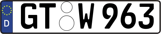 GT-W963