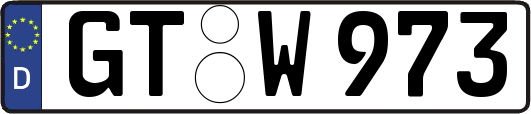GT-W973