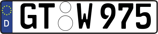 GT-W975