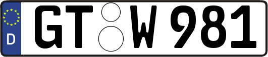 GT-W981