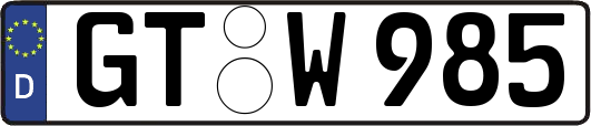 GT-W985