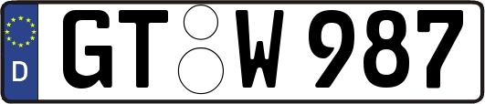 GT-W987