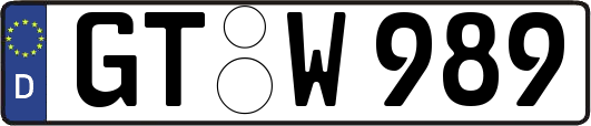 GT-W989