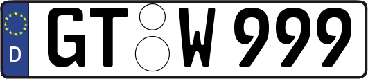 GT-W999