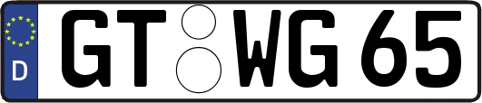 GT-WG65