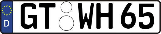 GT-WH65