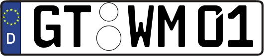 GT-WM01