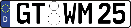 GT-WM25