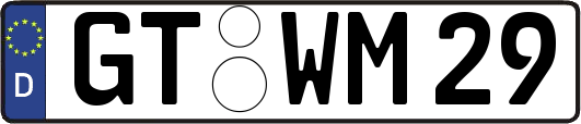 GT-WM29