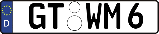 GT-WM6