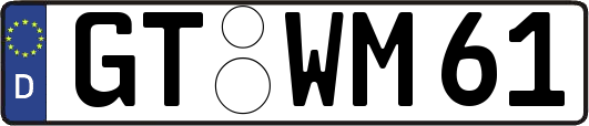 GT-WM61