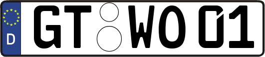 GT-WO01